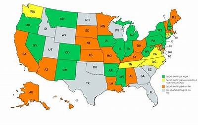 Comprehensive Guide to Willbet Casino Availability Across Different States in the US