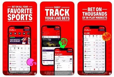 Login to Willbet Sportsbook with Your Secure Password
