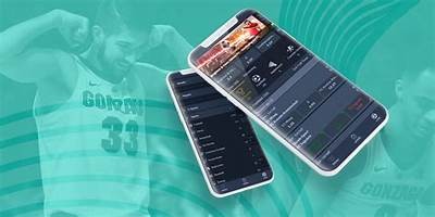"WillBet Sportsbook Review: Comprehensive Insights on Features, Odds, and Promotions"