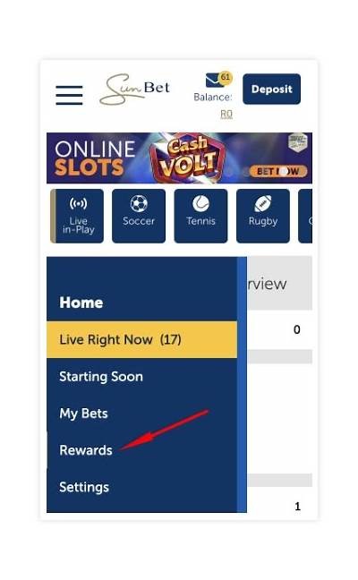 Accessing My willbet Rewards Account with Login Password