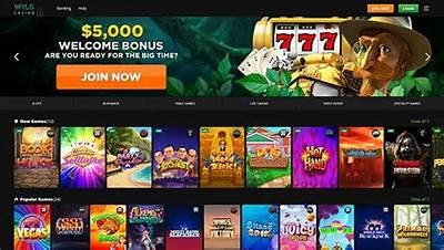 Explore the Exciting World of Willbet Casino Online for Thrilling Gaming Experiences
